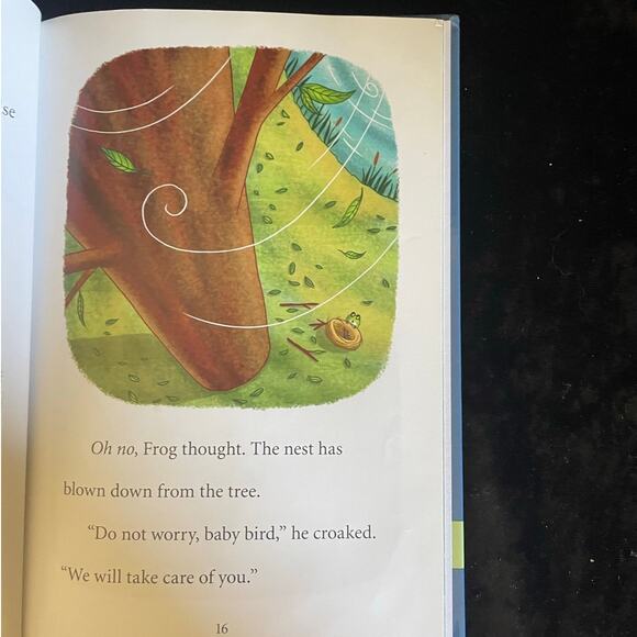 Frog and Friends Series by Eve Bunting | 2013 | 3 Books for Grades 1-2 Readers - Picture 8 of 9